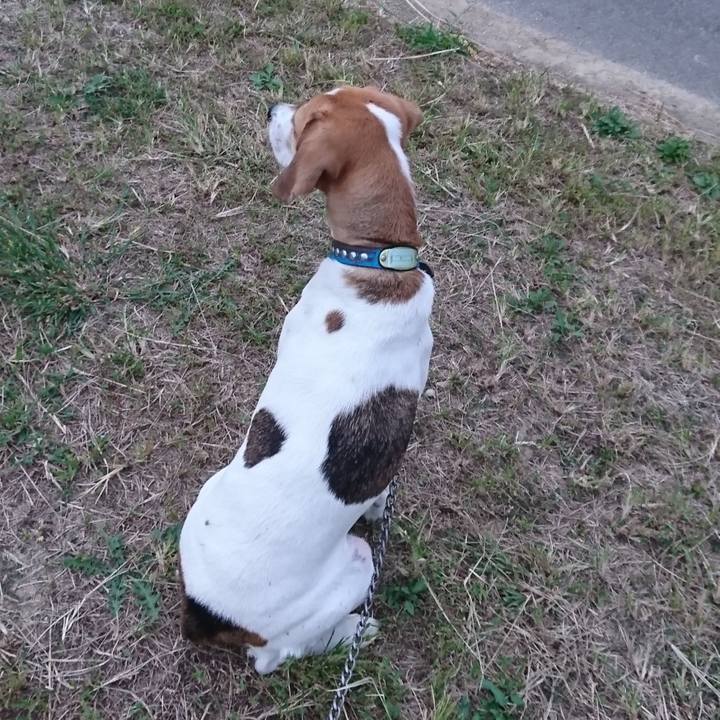 4bd01c72 f7e8 494a 8ba6 4bc990a4c223 1570939117076