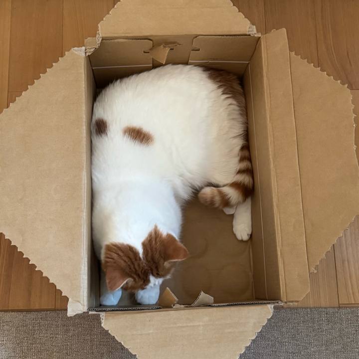 4bd053d8 2866 4a8c ae18 e7886d225ed9 1764299863103