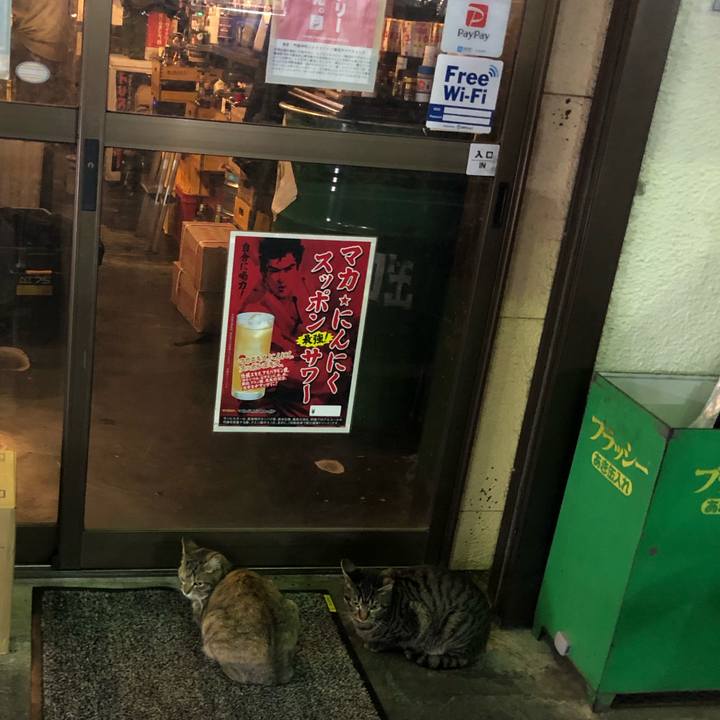 4bd06914 f854 4e22 ae53 016be90d6729 1548969505485