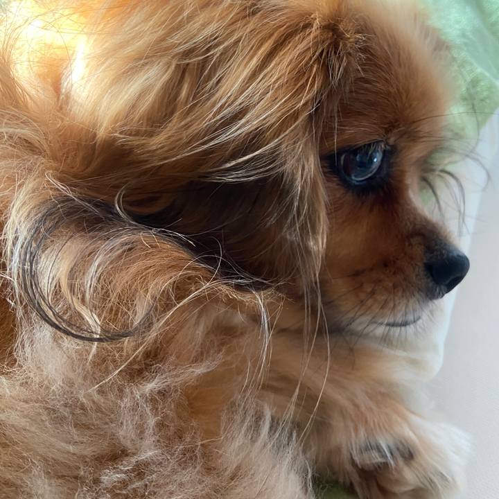 4bd06d57 586d 4225 a570 299658fb044a 1662936649937