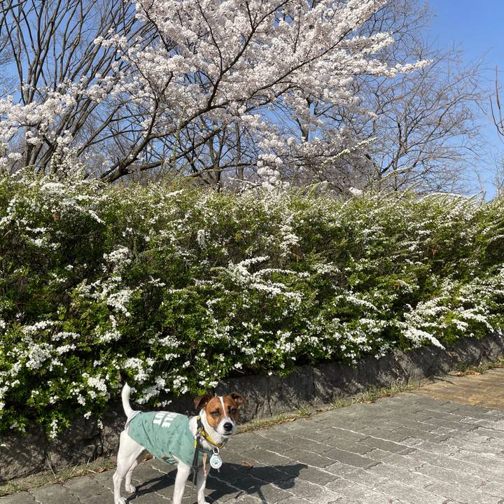 4bd07807 4769 4ac7 a605 03f05266fc12 1649760845903