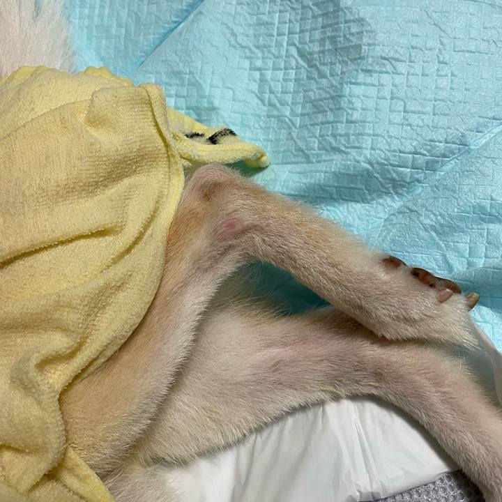 4bd0950d 6364 4706 89bd 4228058ce352 1662547008153