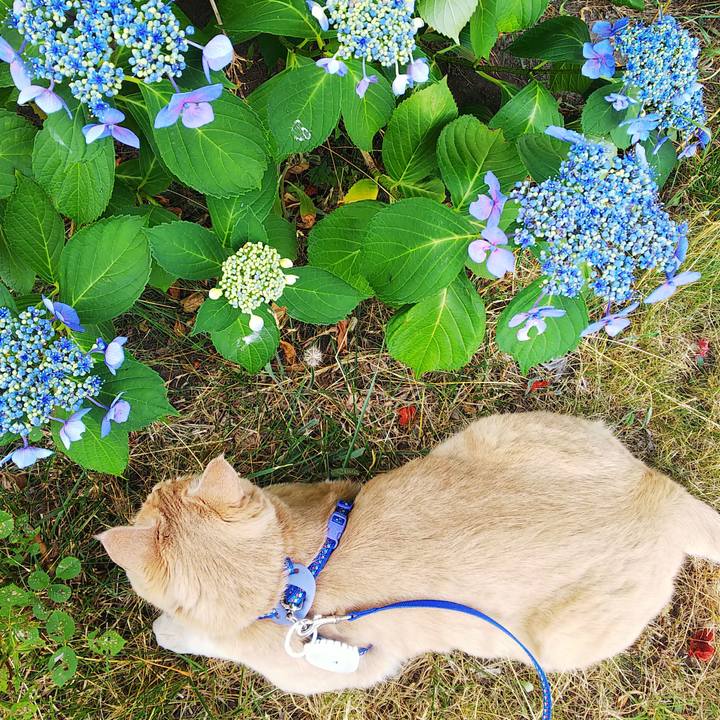 4bd0980d ac71 4880 862e 58932b846dab 1627029978768