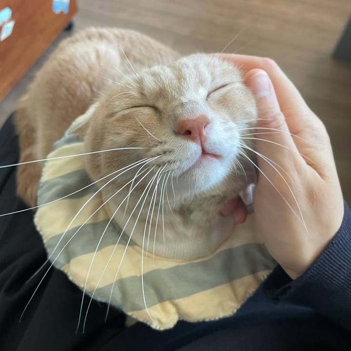 4bd0b143 0f45 44bf 8478 4e81ab70991f 1700124242785