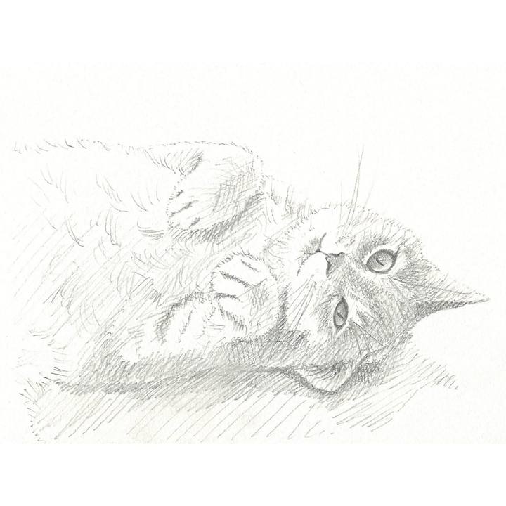 4bd0dcb8 7f33 4db6 a438 bce9f832bd62 1536327224454