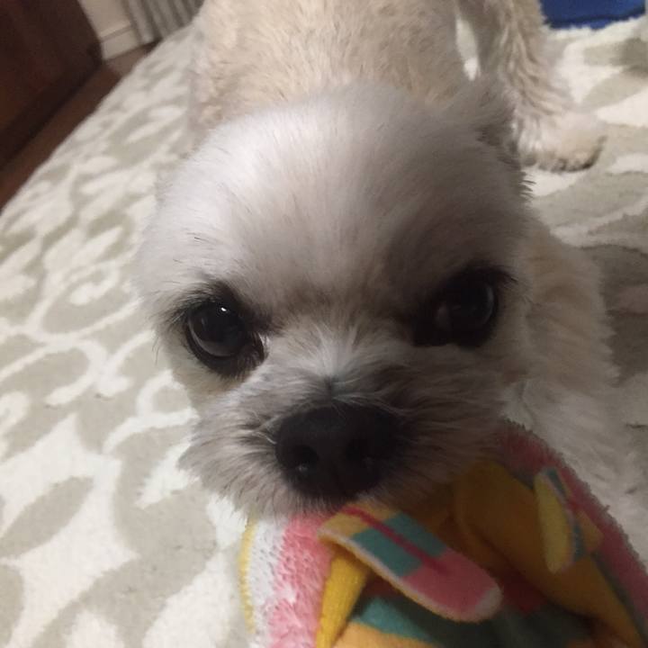 4bd0f4fc b841 42c3 846e e3955426709c 1555931512085