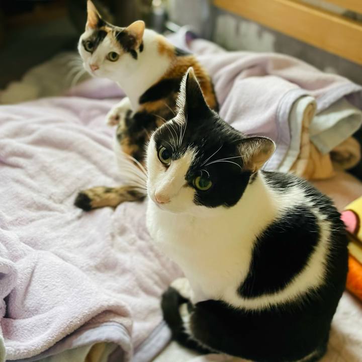 4bd16f36 7fe1 4d12 bac7 8c4ea2ddd469 1639102945694