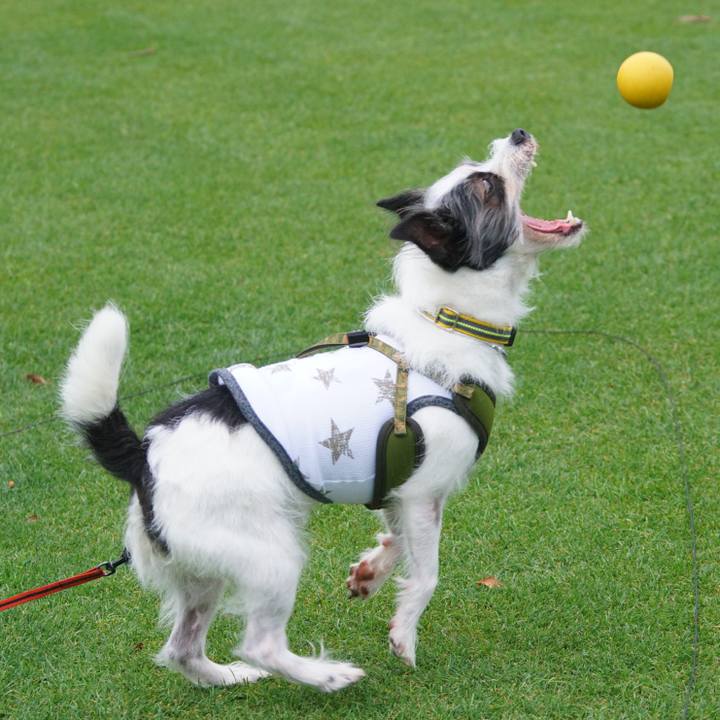 4bd177b0 7b50 46ed 93b8 d2942bb67a24 1561737306589