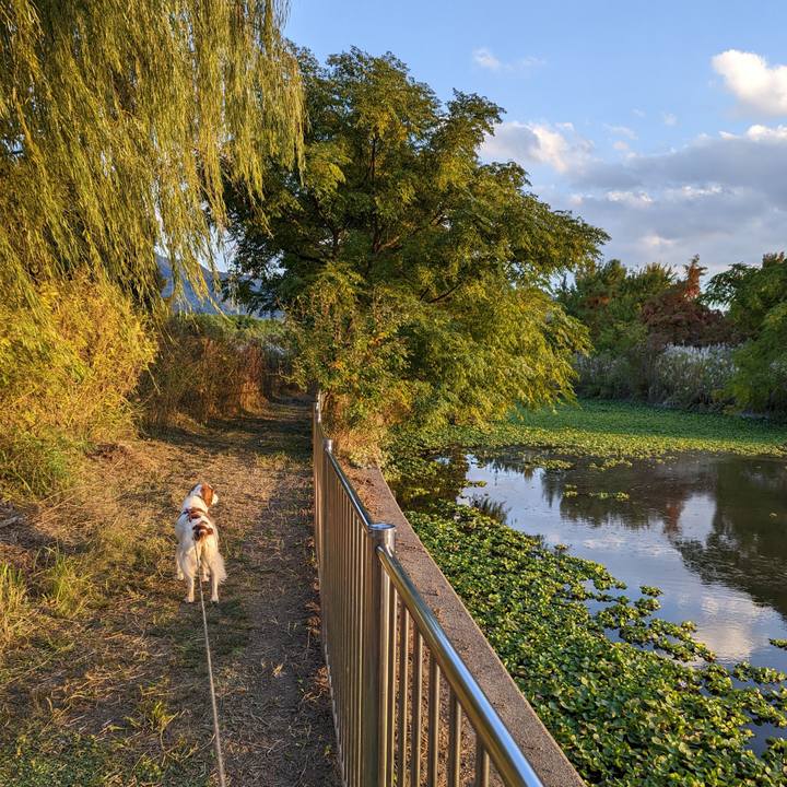 4bd17a33 737c 4b76 a1f9 6729d85d370f 1667647624904