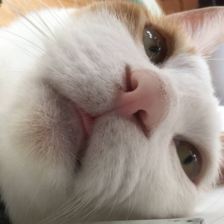 4bd17ced a247 49c3 9ed9 c420621ce0fb 1531729717916