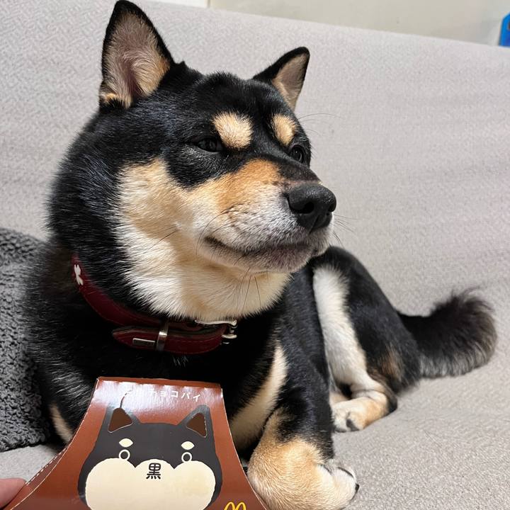 4bd1874d a14d 4367 9007 5d818d5851e6 1729851302724