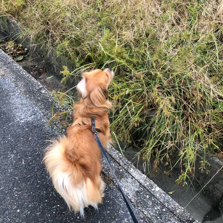 4bd1af0f f5e6 4498 bf58 3eb70aa9b908 1538603394972