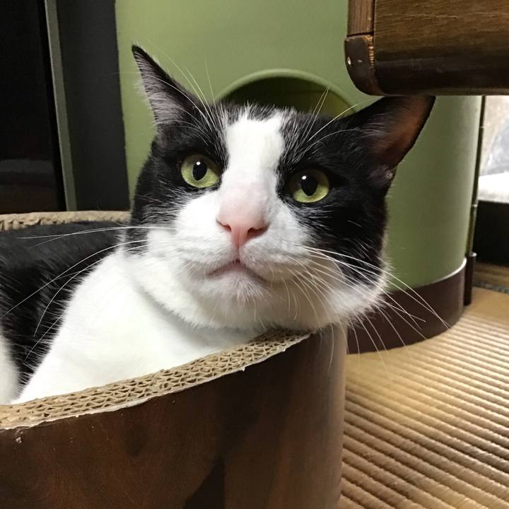 4bd1c80f 0e74 4942 bcd7 a96d0f478c35 1731498011937