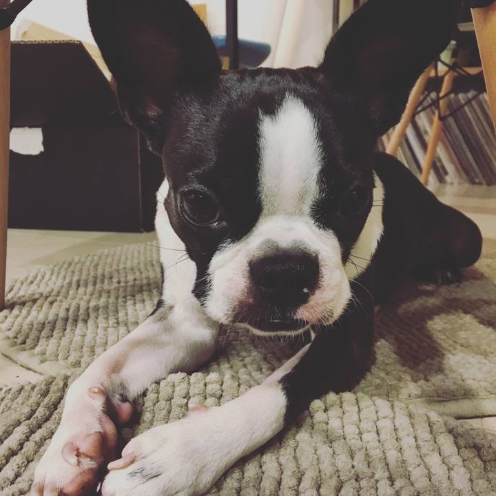 4bd1db76 41d9 4a16 a3a2 2f8a65c47cf8 1509880212017