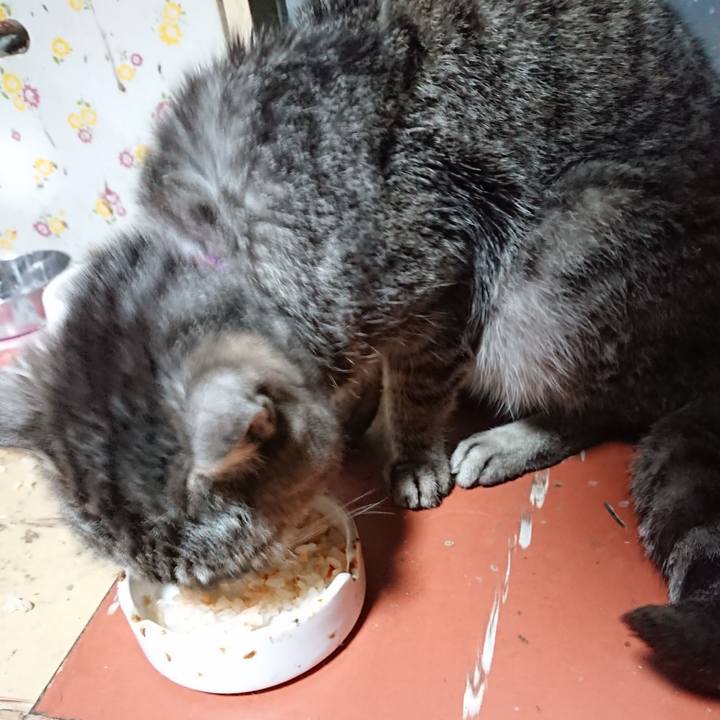 4bd1e727 2a9e 455e be36 e4f885146ccc 1585255666978