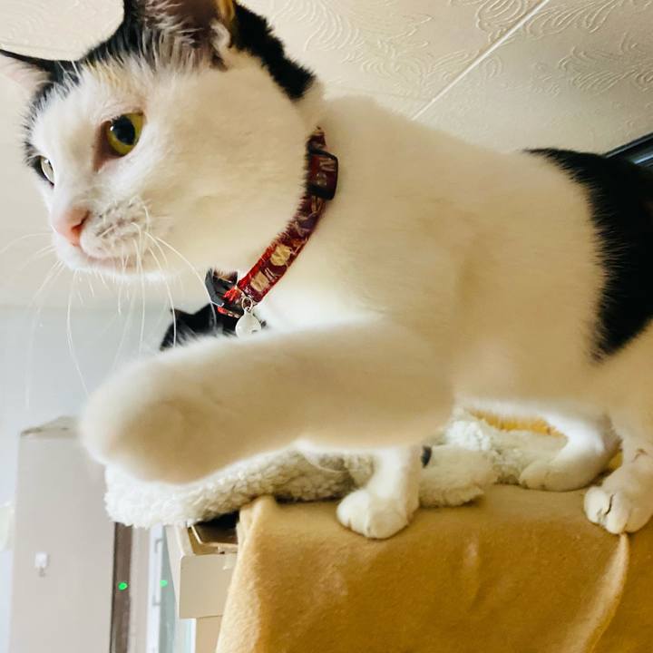 4bd1f491 30df 4524 930a feacf4286459 1670494377152