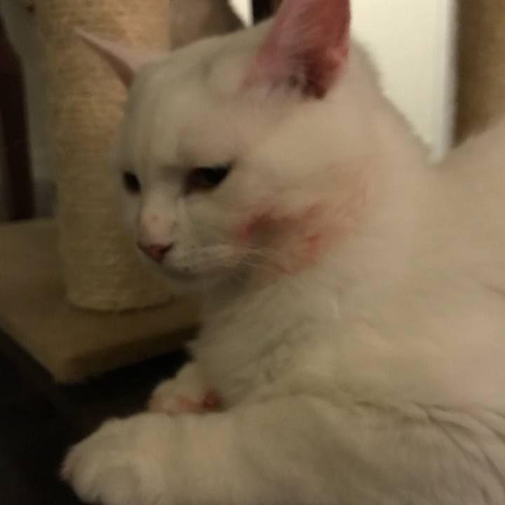 4bd23956 90e0 4ae6 893a bf53d95c85f4 1515403802356