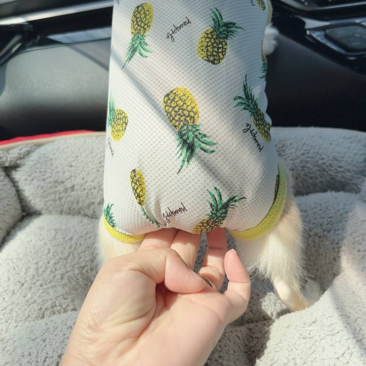 4bd26124 d934 4a9f aa36 cee4c296c2e7 1725706072909