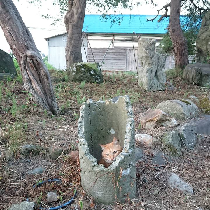 4bd279f2 7702 4310 b356 e4b2a44ef8cc 1659214098056