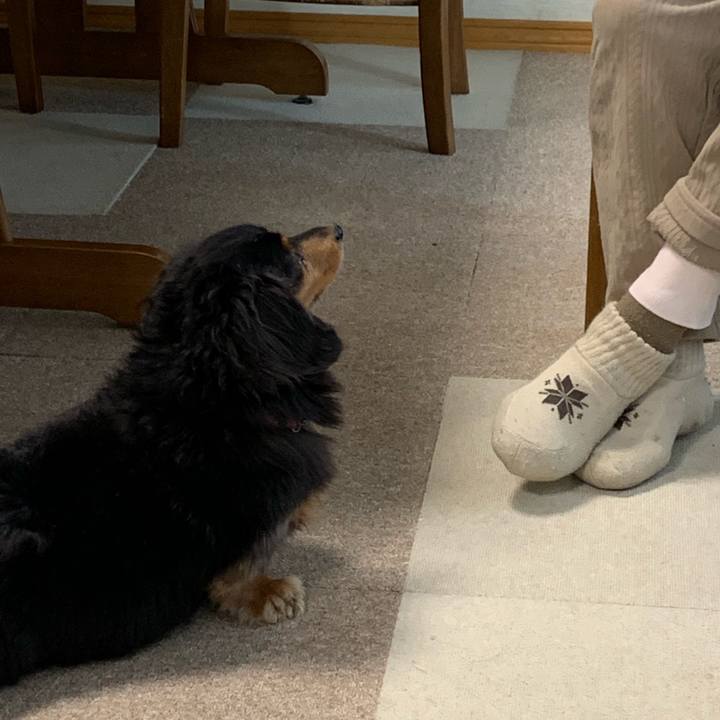 4bd27ee3 48bc 4662 988c a937f696108d 1550699680016