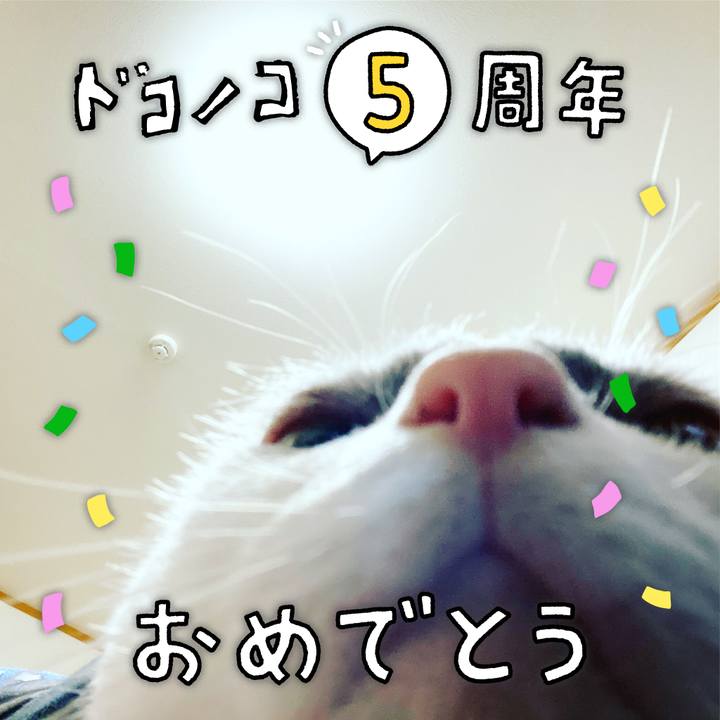 4bd285cc 740f 4776 a7a3 9a429dc7808d 1622875615832