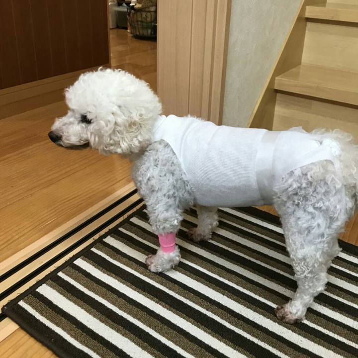 4bd290b7 6b53 49a5 9f8c cc1af406b0c4 1511788802067