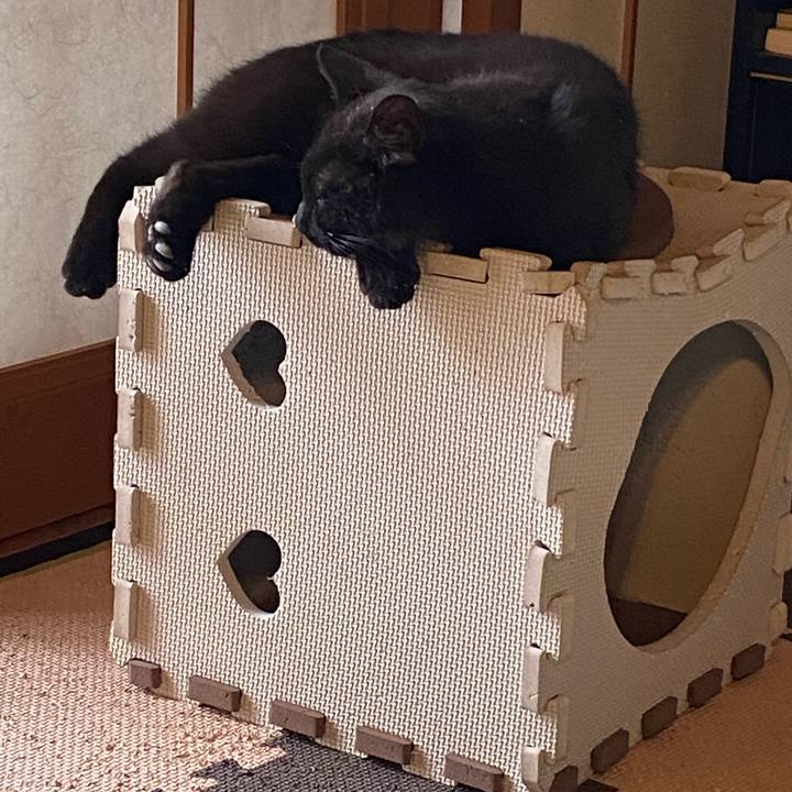 4bd2a7d7 e0b5 4150 8e24 07a92c06ccc9 1620459545277