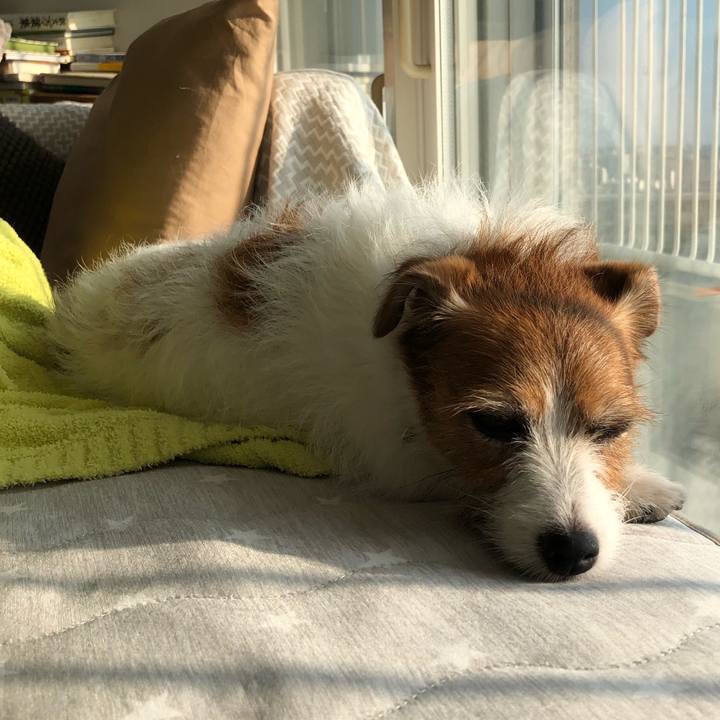 4bd2b4d1 96d7 47ee 9c72 18fa2b5dc413 1627080421200