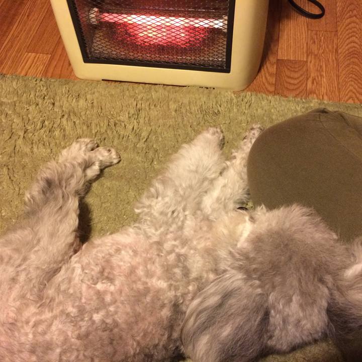 4bd2ef82 5dec 49df a232 046a9743c13a 1511079264646