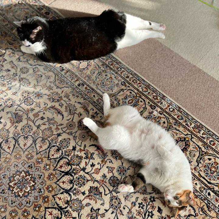 4bd3132e cbd1 43ef 865f 3fe80e75aa61 1762468186623