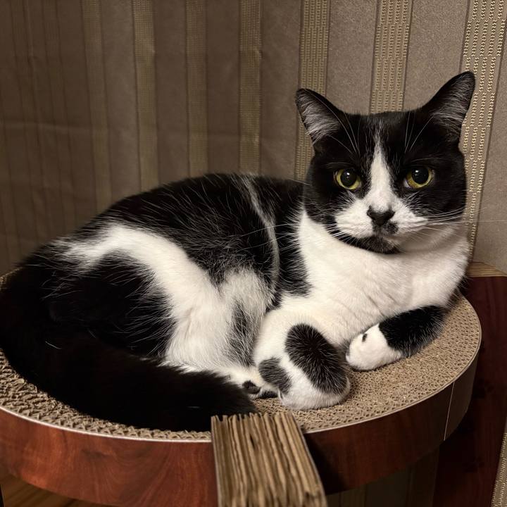 4bd35802 dba1 433a be0c 836822d5e64d 1772277940812