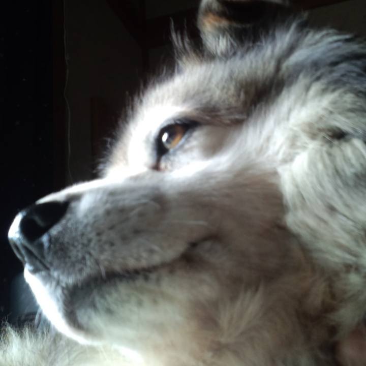 4bd3974a dfaf 402a 9631 7adeade005c0 1560900969405