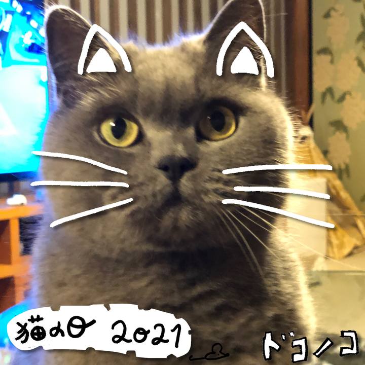 4bd3c6f2 f709 4373 a66f 567b9cc1e76e 1613979307076