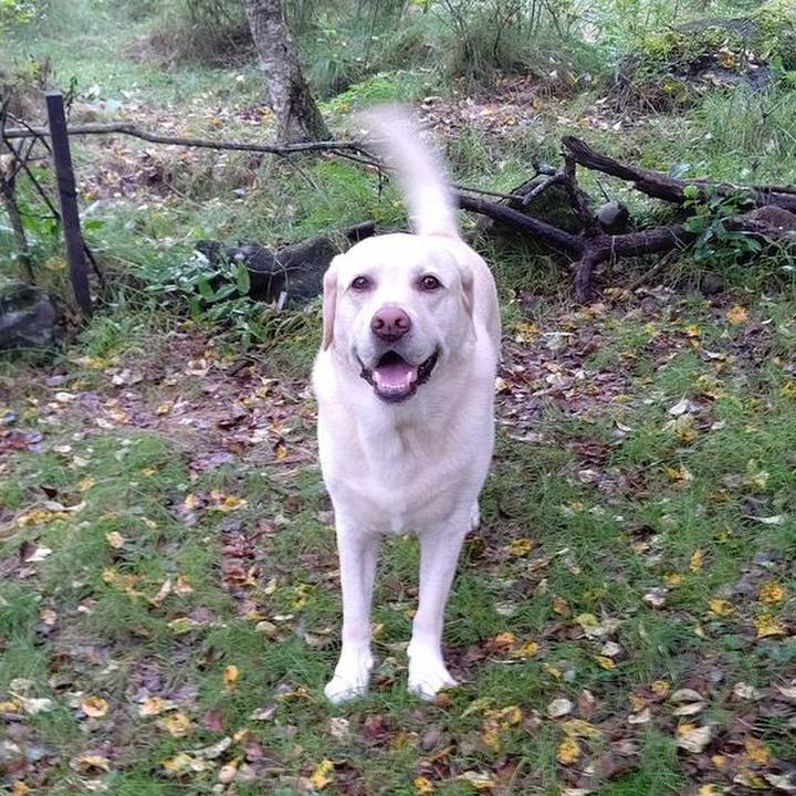 4bd40a85 b502 4fb5 8d11 4458957567e1 1662624648205