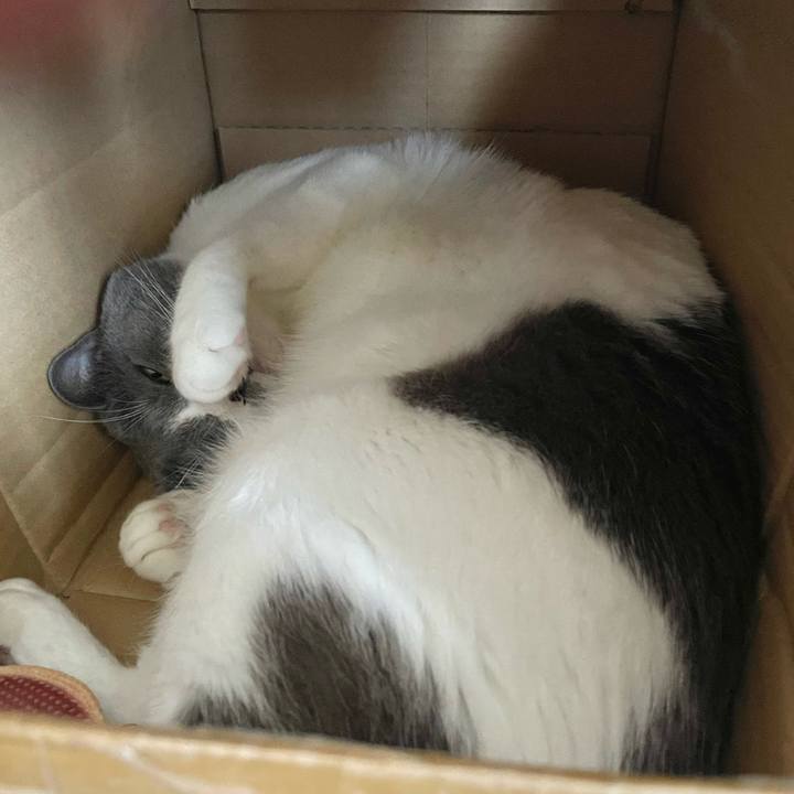 4bd423d0 00f0 49f8 ab29 b6ca17162d1d 1659071330175