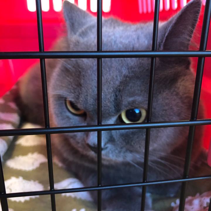 4bd4405e 890d 4b4c bcfd 5b1ff28262dc 1568280036893