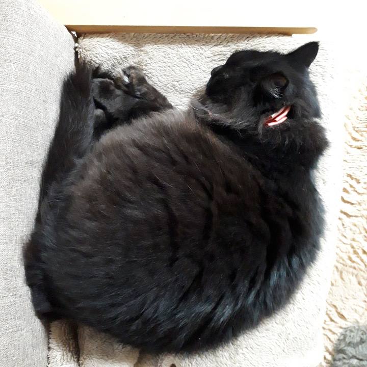 4bd4c872 79e6 4735 9ef2 fea390c17964 1520443412073