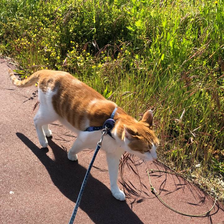 4bd4e0ea 191c 48cb 9073 d202a496b242 1558842346634