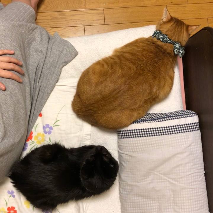 4bd50834 6cb3 4369 b0e5 a42f07e80587 1576964659294