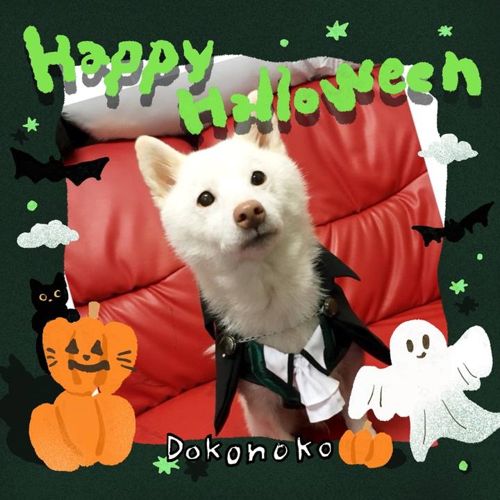 4bd536ef 587b 4852 b11c c3900bc0224a 1730351258422