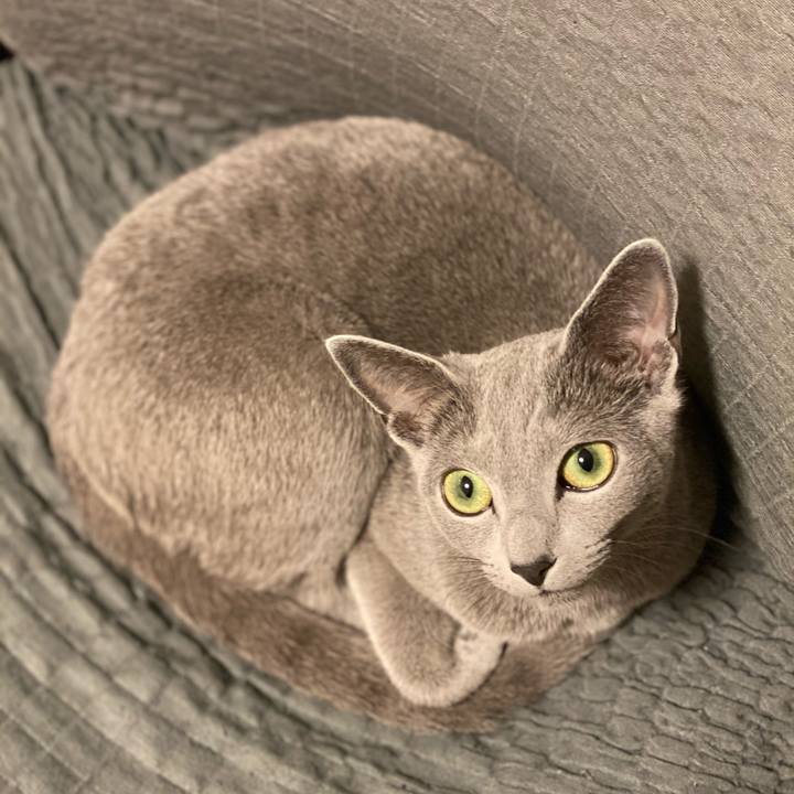 4bd54712 b032 43cf 977f aa2087f0be26 1619786482162