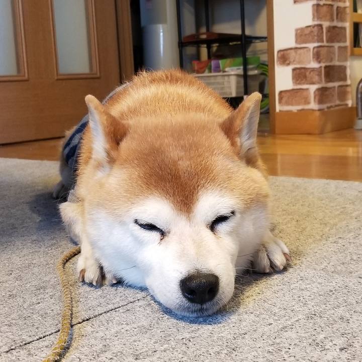 4bd5760a 737e 4aa6 88cc 5881718c0269 1612333507933