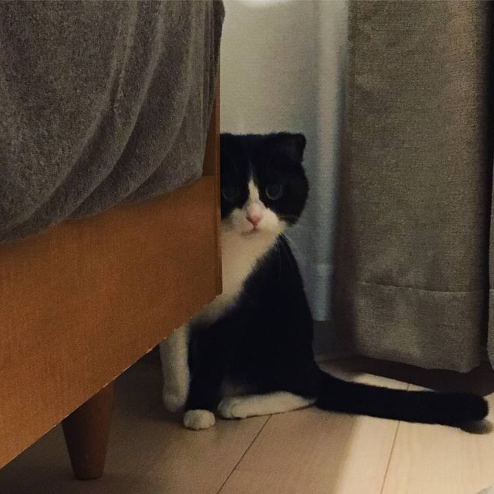 4bd57abd e524 4567 9ff0 47a97f6fa91f 1622891500733