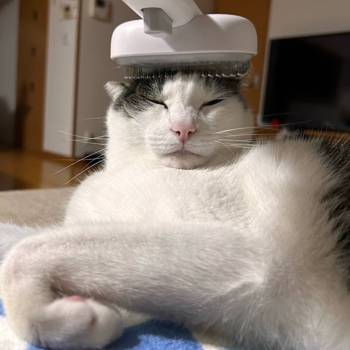 4bd5873a d0c7 4c41 88f3 0f735ea3bcd7 1717944573009