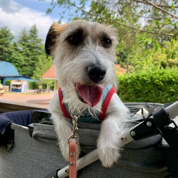 4bd59a68 92ee 4de9 ac6a 1ac6386dff62 1683902953415