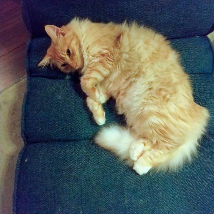 4bd5dc5b dc06 4bd8 aef6 7db589ec78d7 1622076428313