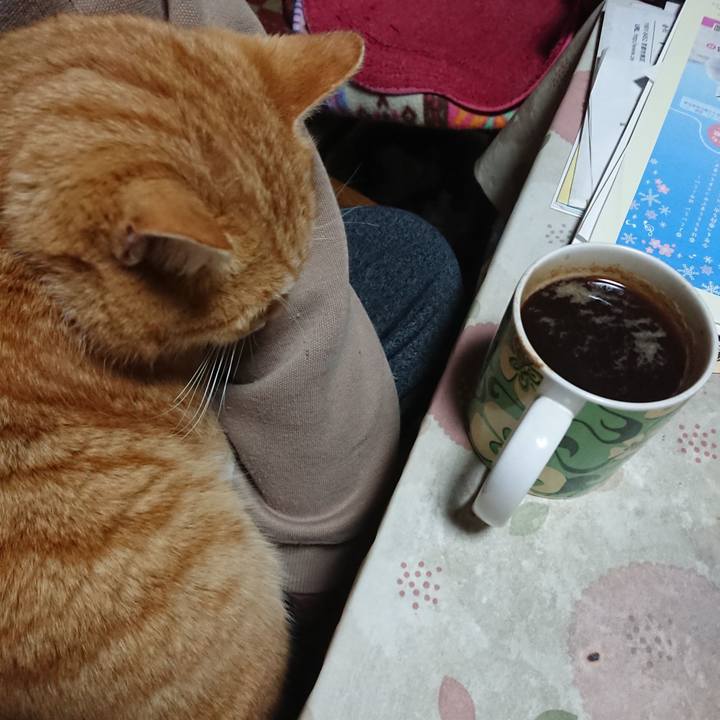 4bd60f8e 564e 4020 b7bf 3c74186a12f5 1581969988012