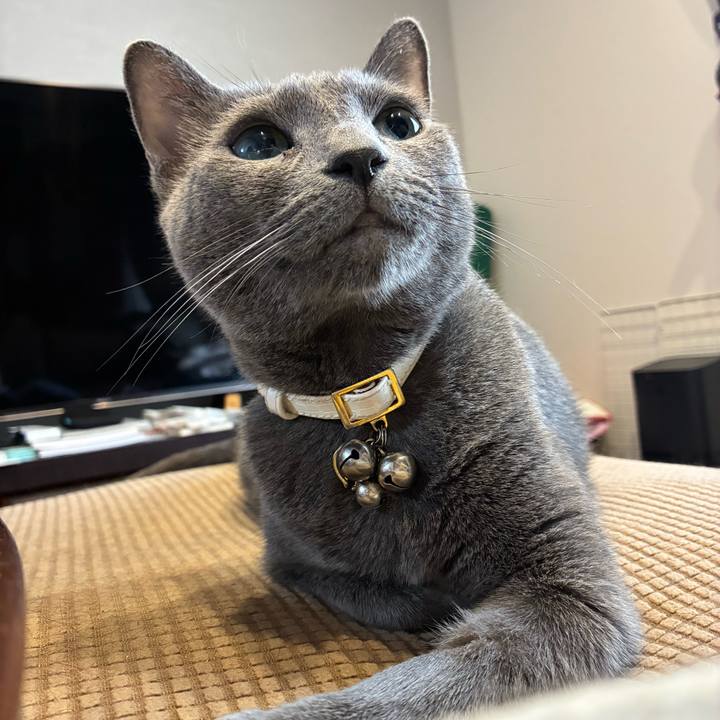 4bd62b0a 2699 4e10 9d82 512a27161d3d 1748997248079