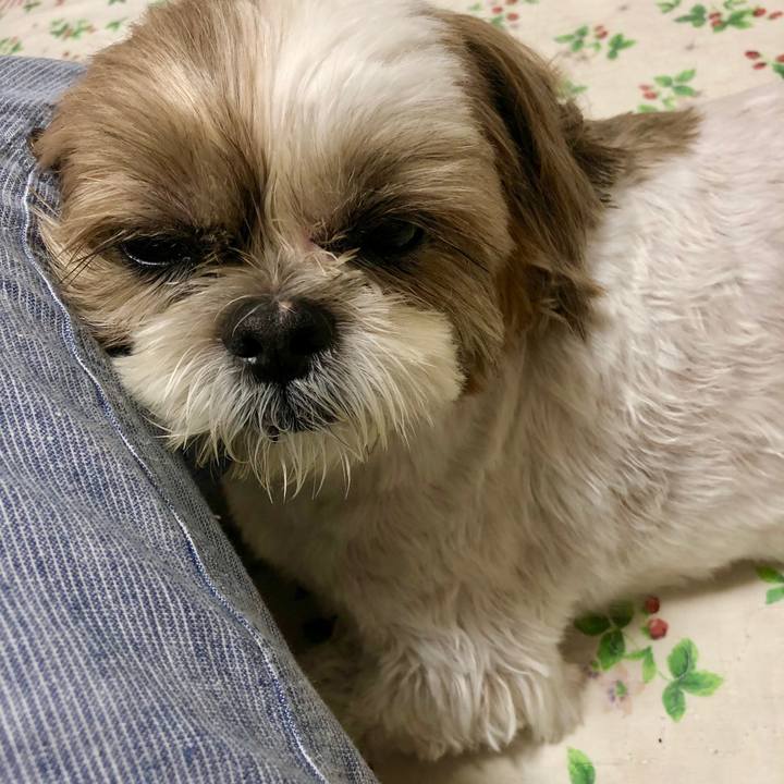 4bd633f1 3682 433d b070 b6575131ff2f 1564893116318