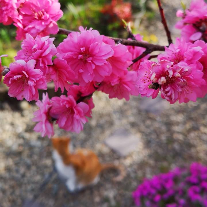 4bd63caa 7123 40a4 b47c 593108645839 1556727263260